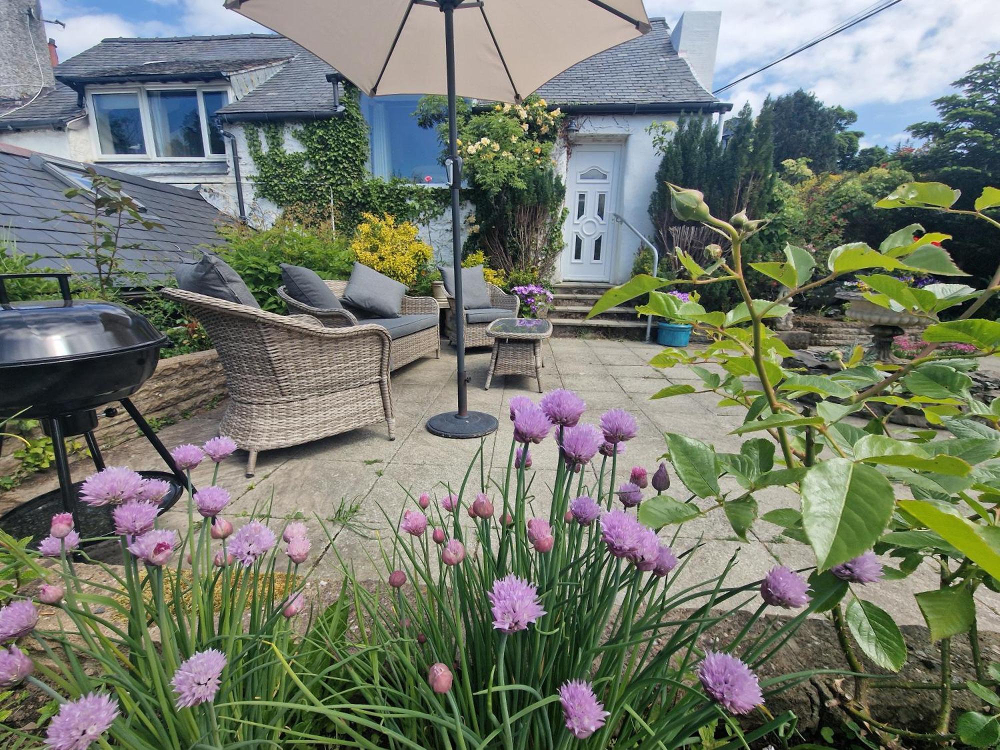 Glyn Isa Country House B&B And Self Catering Apartments Конуи Екстериор снимка