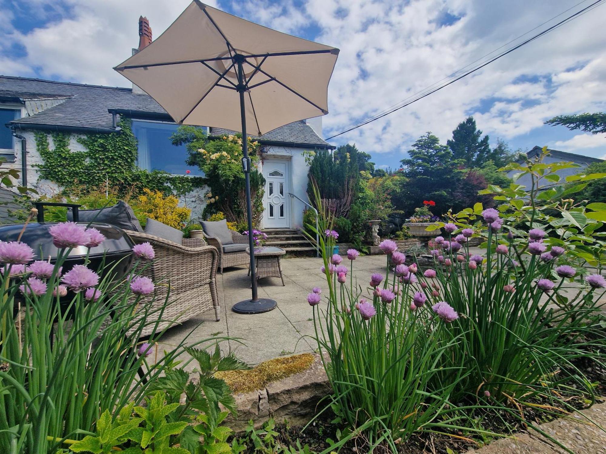 Glyn Isa Country House B&B And Self Catering Apartments Конуи Екстериор снимка